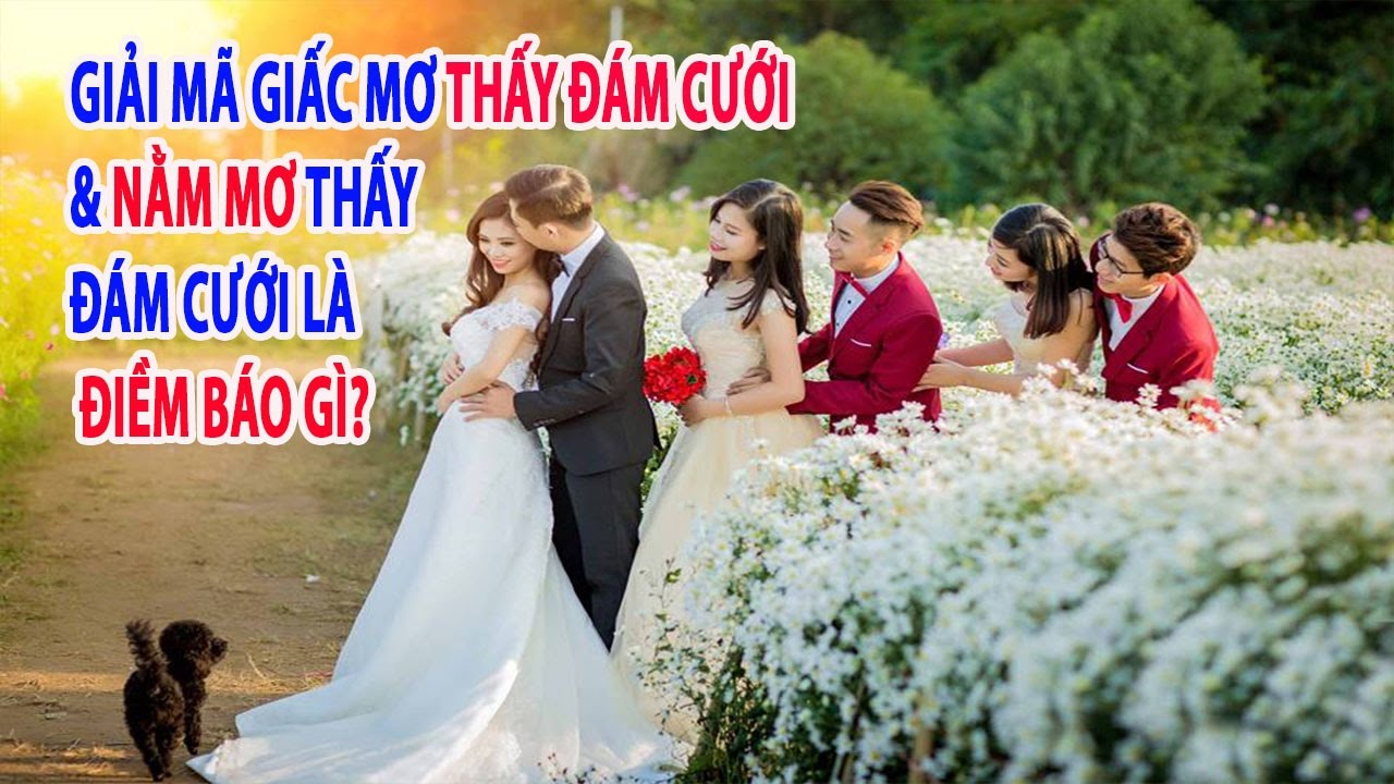 1. Mơ Thấy Đám Cưới – Ý Nghĩa Tổng Quát