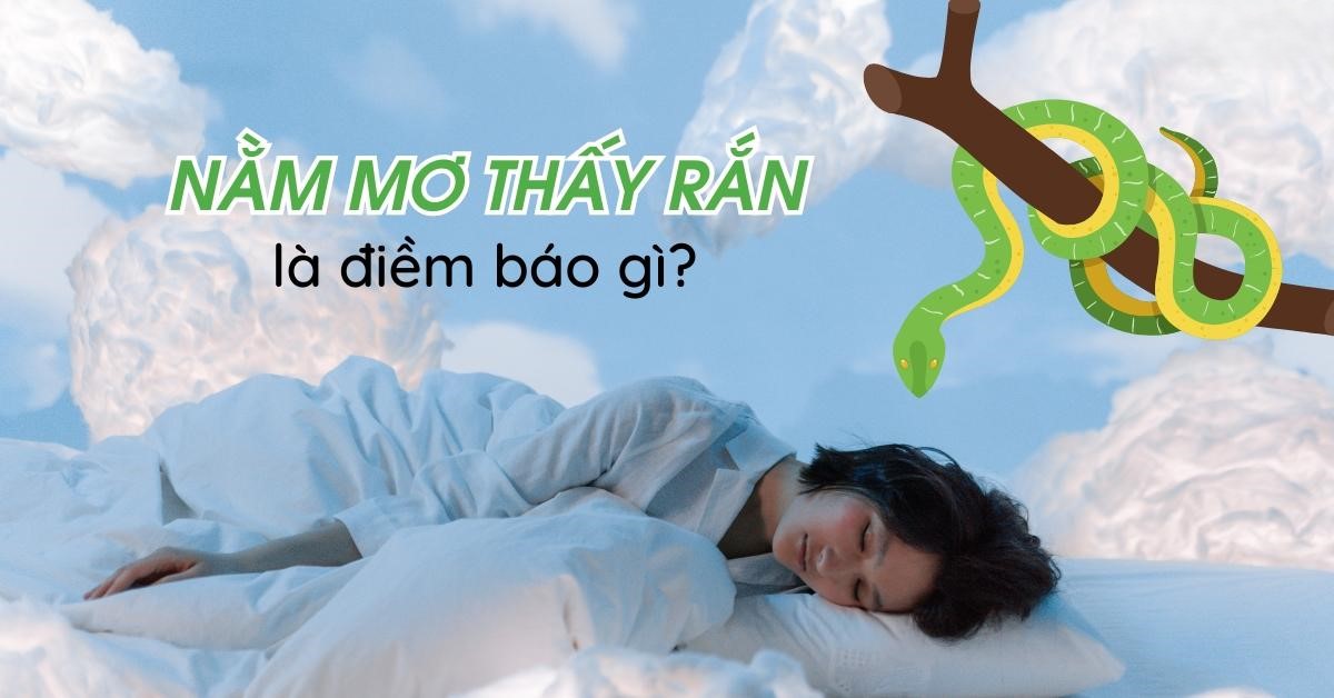 Ý Nghĩa Của Giấc Mơ Bị Rắn Cắn